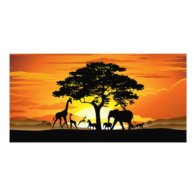 Wilde Tiere auf der afrikanischen Savanna Sunset Fotodruck (Vorne)