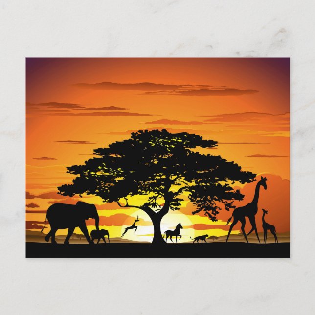 Wilde Tiere auf der afrikanischen Savanna Sunset Postkarte (Vorderseite)