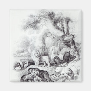 Wilde Tiere aus der Geschichte der Erde Magnet