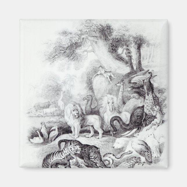 Wilde Tiere aus der Geschichte der Erde Magnet (Vorne)