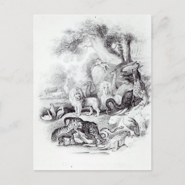 Wilde Tiere aus der Geschichte der Erde Postkarte (Vorderseite)