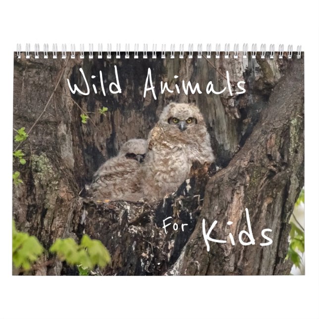 Wilde Tiere für Kinder Kalender (Titelbild)