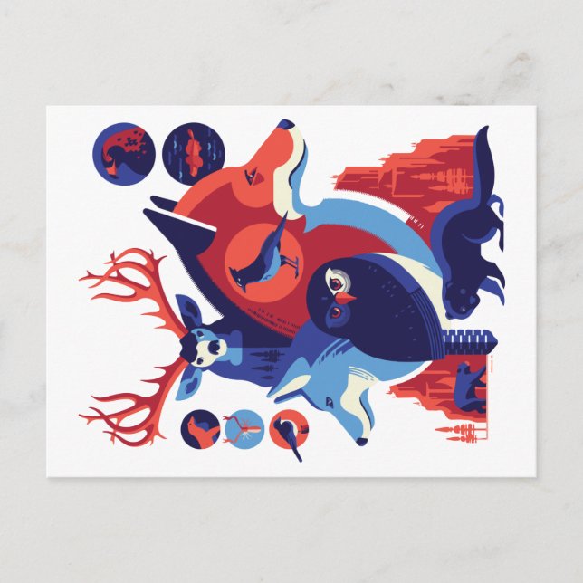 Wilde Tiere V.06 Postkarte (Vorderseite)
