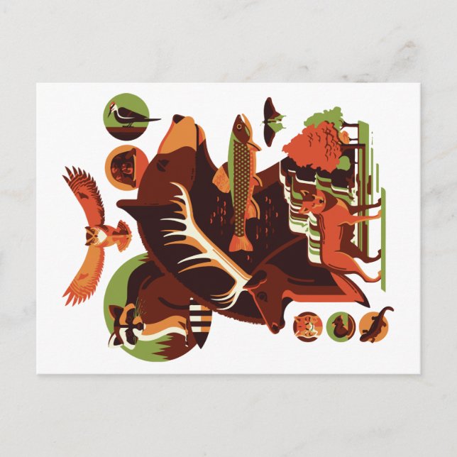 Wilde Tiere V.07 Postkarte (Vorderseite)