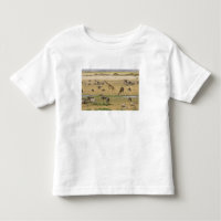 Wilde Tiere, Zebras und Giraffen