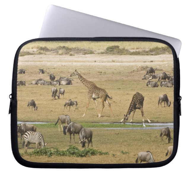 Wilde Tiere, Zebras und Giraffen Laptopschutzhülle (Vorderseite)