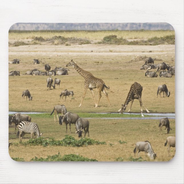 Wilde Tiere, Zebras und Giraffen Mousepad (Vorne)