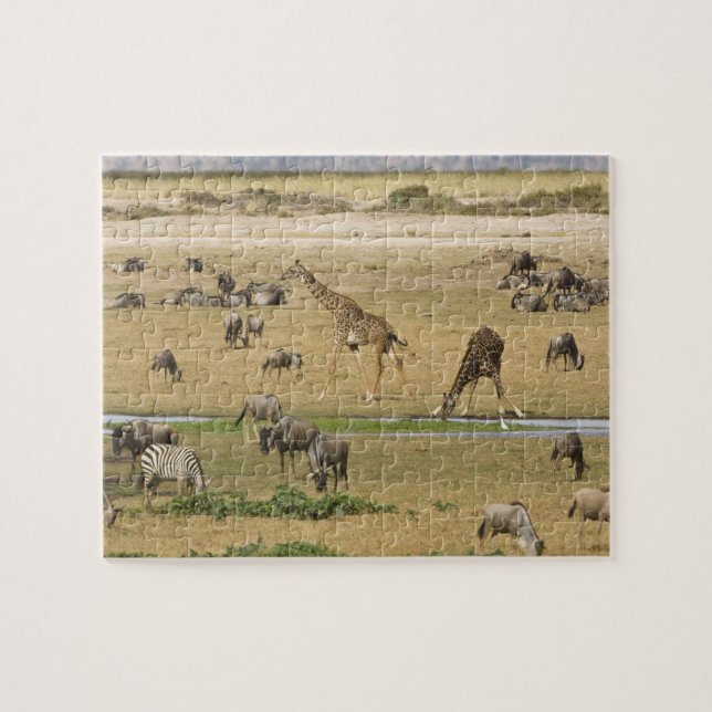 Wilde Tiere, Zebras und Giraffen Puzzle (Horizontal)