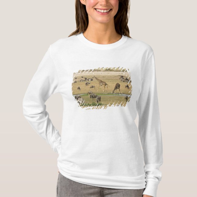 Wilde Tiere, Zebras und Giraffen T-Shirt (Vorderseite)