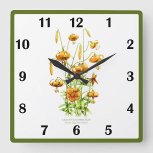 Wilde Tigerlilien-Blume Botanische Kunst Quadratische Wanduhr