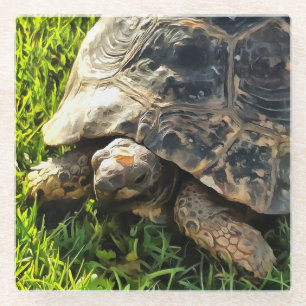 Wilde Tortoise im Gras Wiesen Kunst, Dichtung und Glasuntersetzer
