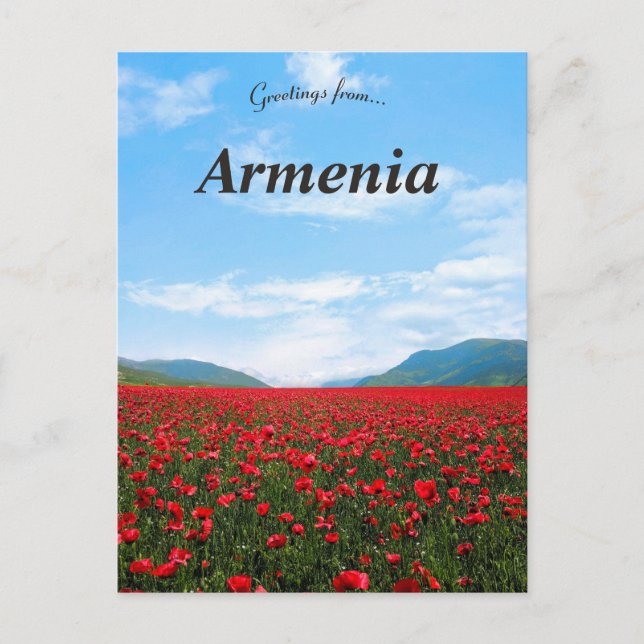 Wilde Tulips in Alaverdi Armenia Postcard Postkarte (Vorderseite)