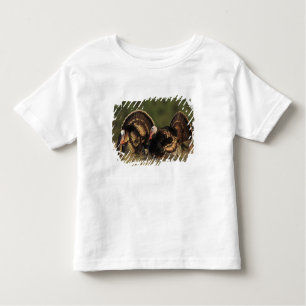 Wilde Türkei, Meleagris gallopavo, Männchen Kleinkind T-shirt