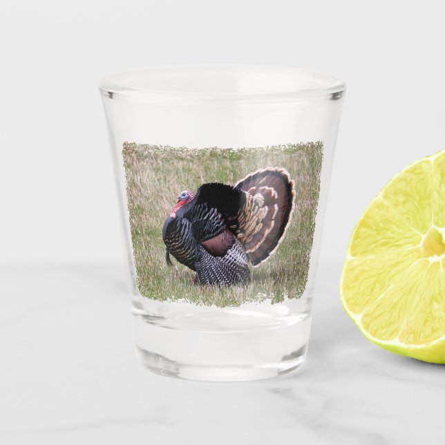 Wilde Türkei Schnapsglas (Vorderseite)