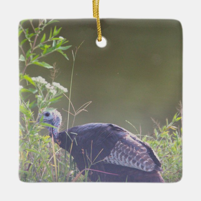 Wilde Türkei Verstecken in Grasdekoration Keramikornament (Vorderseite)