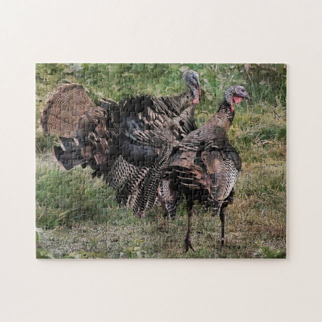 Wilde Türkei vor dem Kampf Puzzle (Horizontal)