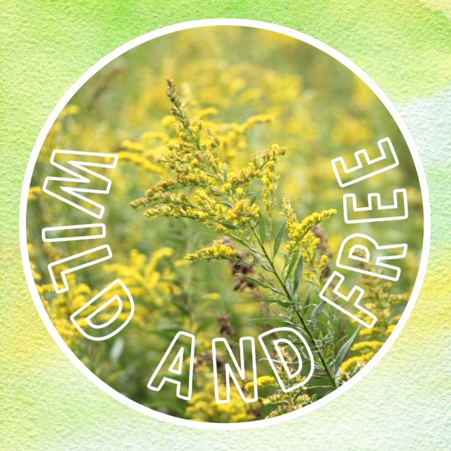 Wilde und freie Wildblumen - Selbstvertrauen Fensteraufkleber (Von Creator hochgeladen)