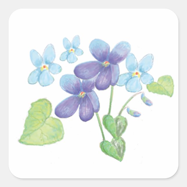Wilde Violet-Blume - Illustration Quadratischer Aufkleber (Vorderseite)