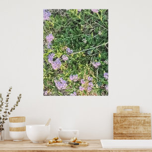 Wilde violette Blumen in natürlicher Garteneinstel Poster