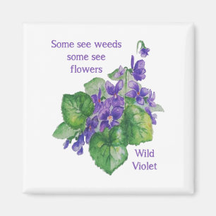 Wilde Violette Inspiration Einige sehen Unkrautquo Magnet