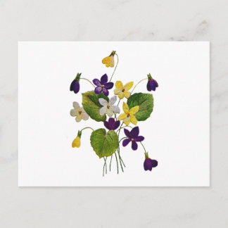 Wilde Violetten, in Crewel Stickerei gefertigt Postkarte