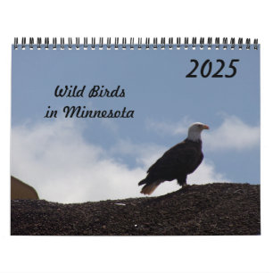 Wilde Vögel im Minnesota-Kalender 2025 Kalender