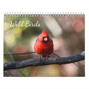 Wilde Vögel Kalender