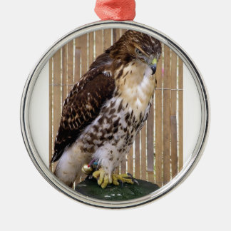 Wilde Vögel: Rot-Angebundener Falke Silbernes Ornament