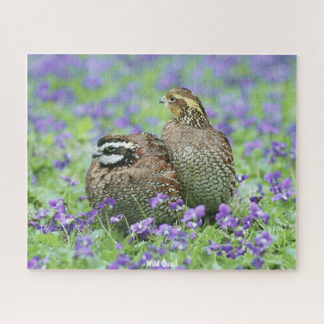 Wilde Wachteln Puzzle (Horizontal)