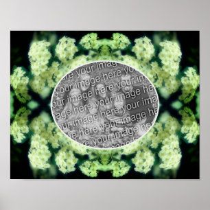 Wilde weiße Rosen ranken sich - Erstelle dein eige Poster