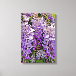 Wilde Wisteria 11x16 Leinwand