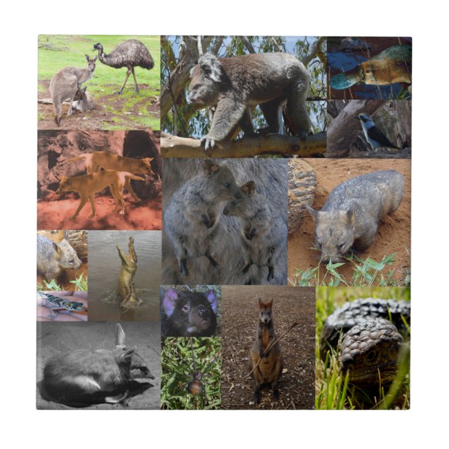 Wilde Wunder: Australische Fotocollage fesseln Fliese (Vorderseite)