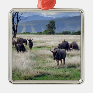 Wildebeest herd silbernes ornament
