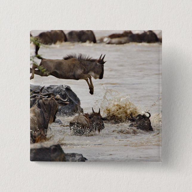 Wildebeest springt in den Mara River Button (Vorderseite)
