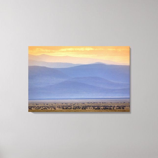 Wildebeest während der Migration, Connochaetes Leinwanddruck (Vorderseite)
