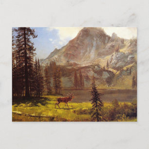 Wildenruf von Albert Bierstadt 1876-77 Postkarte