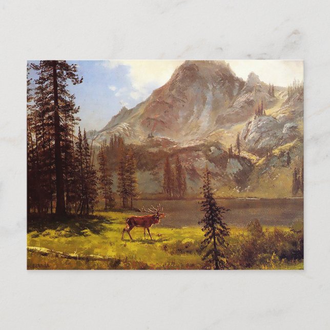 Wildenruf von Albert Bierstadt 1876-77 Postkarte (Vorderseite)