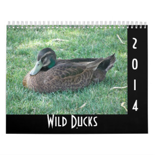 Wildenten Kalender