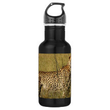 Wilder afrikanischer Gepard in den Savanne-Gräsern