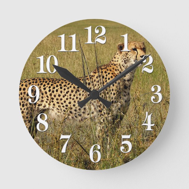 Wilder afrikanischer Gepard in den Savanne-Gräsern Runde Wanduhr (Vorderseite)