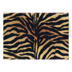 WILDER AFRIKANISCHER IMITATZEBRA