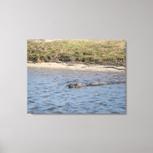 Wilder Alligator am Flussufer – Florida Wildlife Leinwanddruck