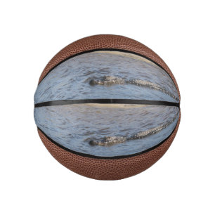 Wilder Alligator am Flussufer in Florida Mini Basketball