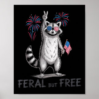 Wilder &amp; Freier USA-Flagge 4. Juli Feuerwerk R Poster