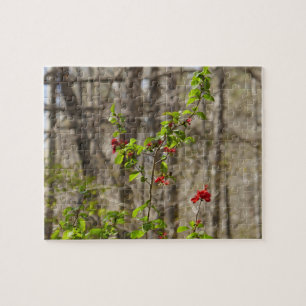 Wilder Azaleenbusch in den Smoky Mountains Puzzle