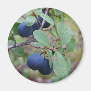 Wilder Berries-Magnet Magnet