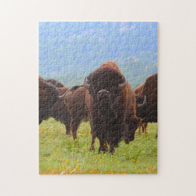 Wilder Bison Oklahoma. Puzzle (Vertikal)
