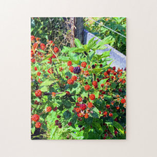 Wilder BlackBerry Patch Puzzle