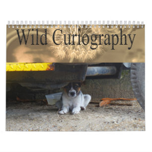 Wilder Curiography Hundekalender Kalender