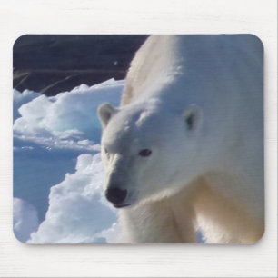 Wilder Eisbär in Svalbard, (Spitzbergen) Mousepad